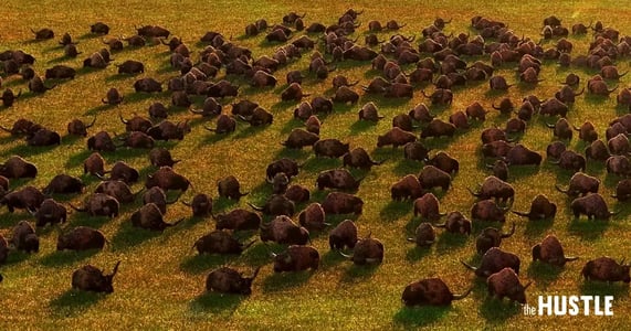 We Can’t Tell the Difference Between Pixar’s Animations and Real Photos